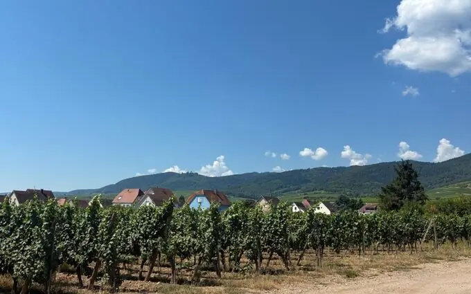 Programme immobilier neuf A 10min de Colmar à Wintzenheim