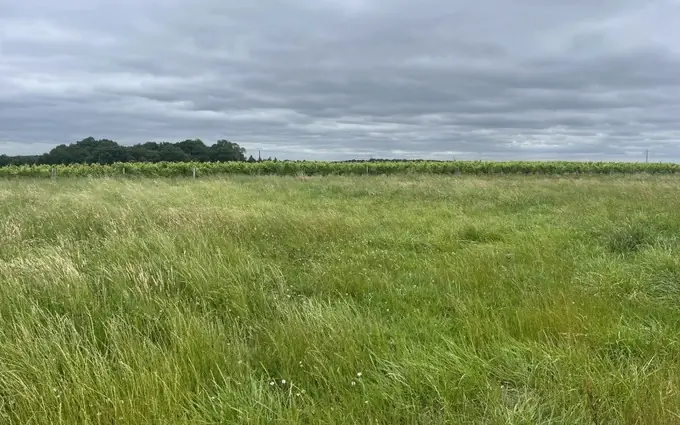 Programme immobilier neuf Terrain à partir de 1235m² à Jonzac à Jonzac (17500)