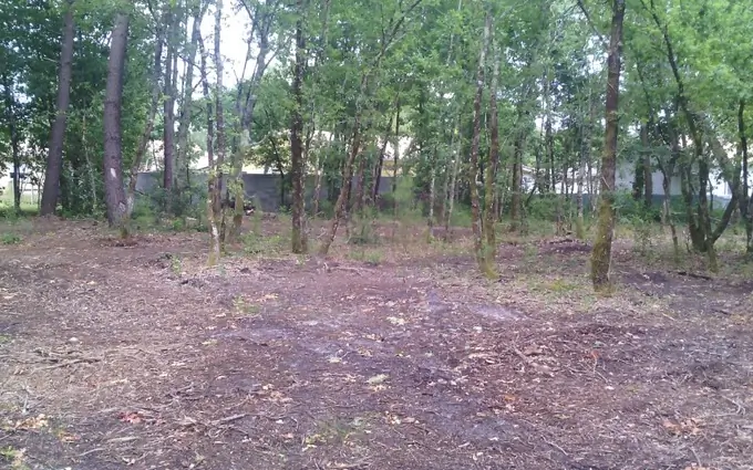 Programme immobilier neuf Terrain à partir de 646m² à Lugos