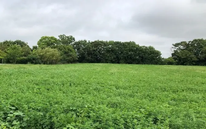 Programme immobilier neuf Terrain à partir de 189m² à Aigrefeuille-d'Aunis à Aigrefeuille-d'Aunis (17290)