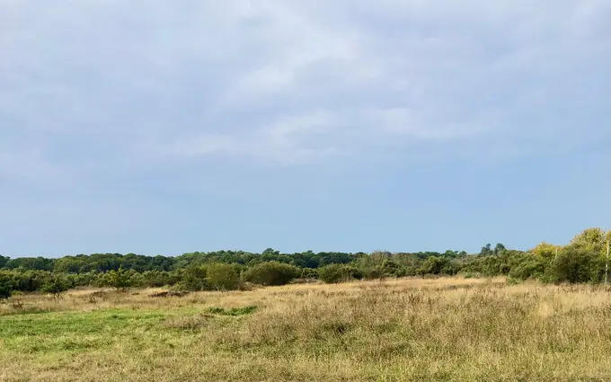Programme immobilier neuf Terrain à partir de 514m² à Le Verdon-sur-Mer à Le Verdon-sur-Mer (33123)