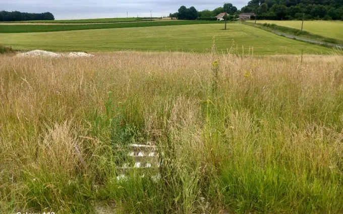 Programme immobilier neuf Terrain à partir de 1286m² à Saint-Germain-de-Vibrac à Saint-Germain-de-Vibrac (17500)