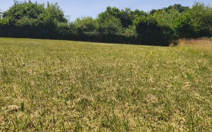 Programme immobilier neuf Terrain à partir de 980m² à Chaillevette à Chaillevette