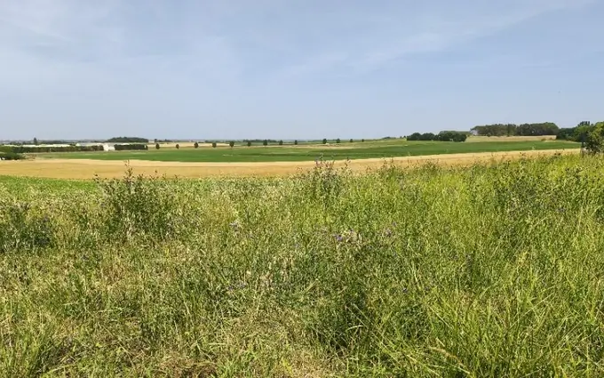 Programme immobilier neuf Terrain à partir de 470m² à Étaules à Étaules