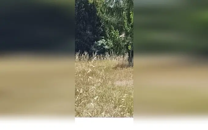 Programme immobilier neuf Terrain à partir de 520m² à La Tremblade à La Tremblade (17390)