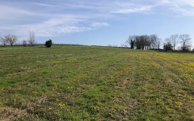 Programme immobilier neuf Terrain à partir de 750m² à Saint-Savin à Saint-Savin (33920)