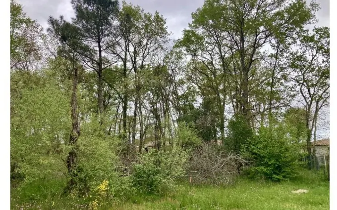 Programme immobilier neuf Terrain à partir de 1000m² à Le Haillan