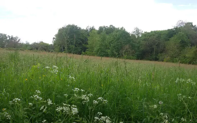 Programme immobilier neuf Terrain à partir de 3700m² à Saint-Jean-d'Ataux à Saint-Jean-d'Ataux