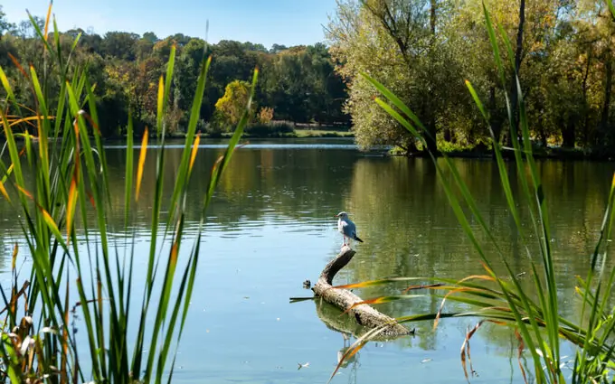 Programme immobilier neuf L'Écrin des Coteaux à Morsang-sur-Orge