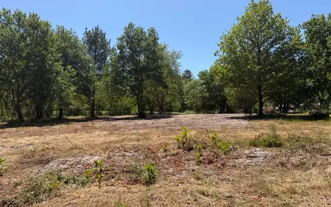 Programme immobilier neuf Terrain à partir de 1246m² à Balizac à Balizac (33730)