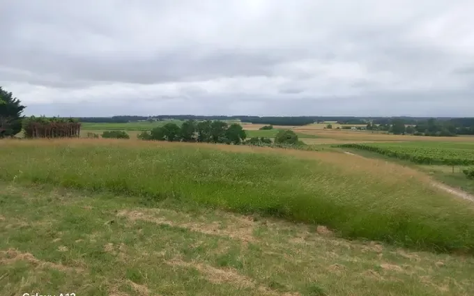 Programme immobilier neuf Terrain à partir de 2580m² à Saint-Maigrin à Saint-Maigrin