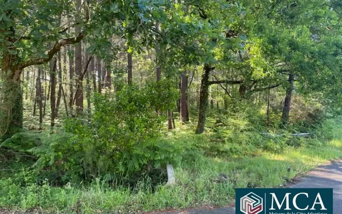 Programme immobilier neuf Terrain à partir de 485m² à Sanguinet à Sanguinet (40460)
