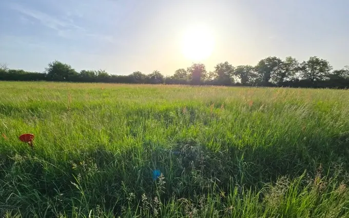 Programme immobilier neuf Terrain à partir de 1872m² à Lalandusse