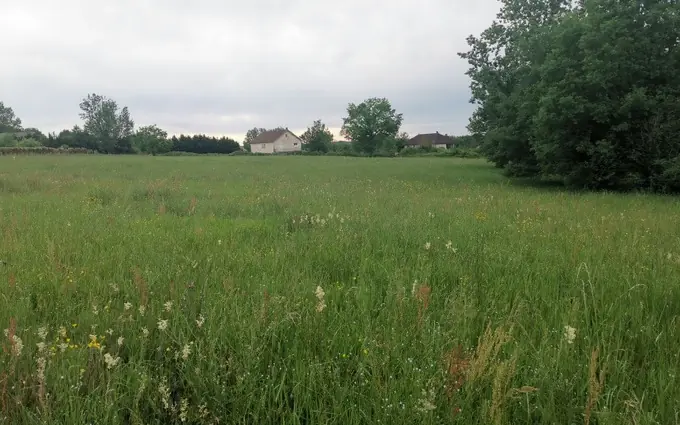 Programme immobilier neuf Terrain à partir de 950m² à Beauregard-de-Terrasson à Beauregard-de-Terrasson
