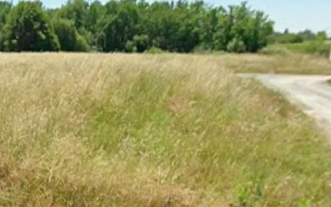 Programme immobilier neuf Terrain à partir de 600m² à Pugnac à Pugnac (33710)