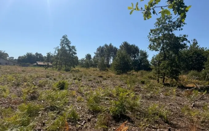 Programme immobilier neuf Terrain à partir de 1050m² à Saint-Michel-de-Rieufret à Saint-Michel-de-Rieufret (33720)