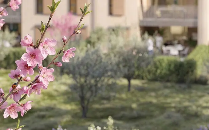Programme immobilier neuf Gardanne au coeur du quartier Biver à Gardanne