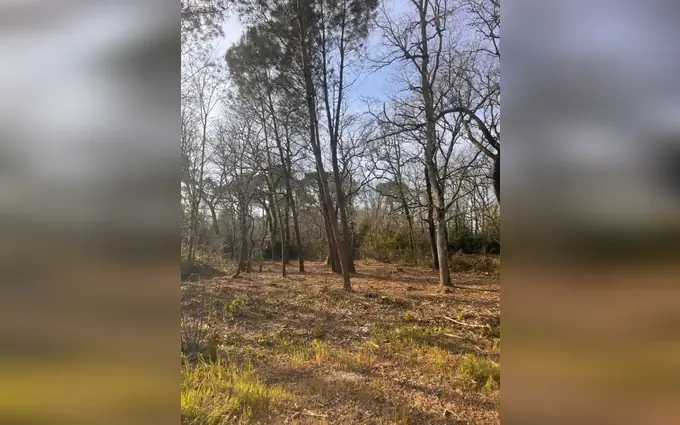 Programme immobilier neuf Terrain à partir de 600m² à Landiras à Landiras (33720)