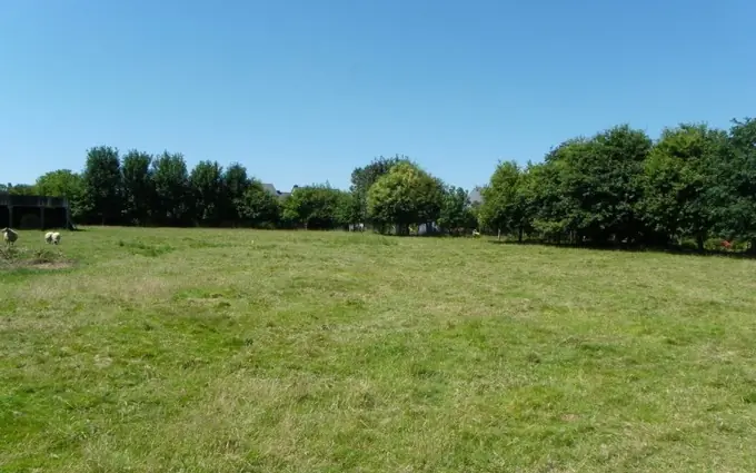 Programme immobilier neuf Terrain à partir de 326m² à Belin-Béliet à Belin-Béliet (33830)