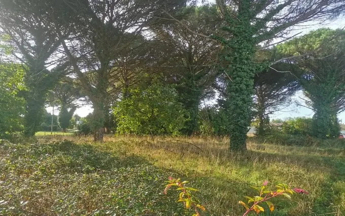 Programme immobilier neuf Terrain à partir de 990m² à Saint-Maixant à Saint-Maixant (33490)