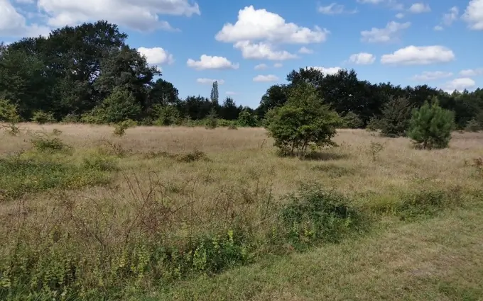Programme immobilier neuf Terrain à partir de 500m² à Mios à Mios (33380)