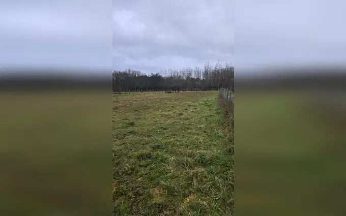 Programme immobilier neuf Terrain à partir de 990m² à Gauriaguet à Gauriaguet (33240)