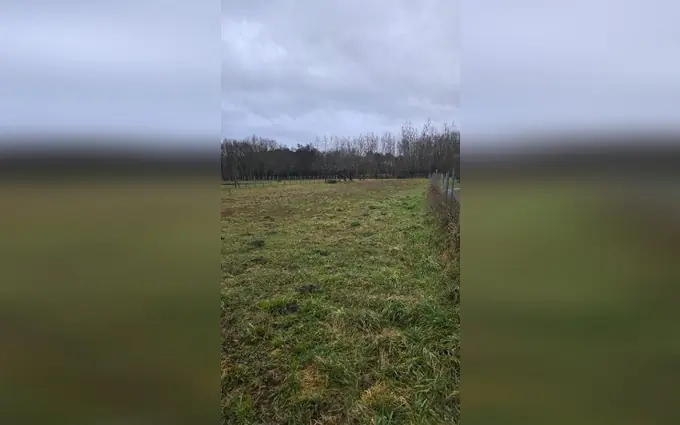Programme immobilier neuf Terrain à partir de 990m² à Gauriaguet à Gauriaguet