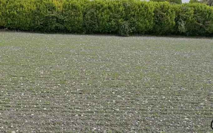 Programme immobilier neuf Terrain à partir de 600m² à Colombiers