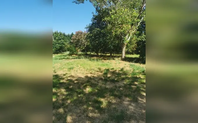 Programme immobilier neuf Terrain à partir de 675m² à Roaillan à Roaillan (33210)