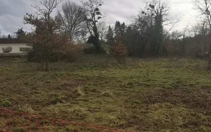 Programme immobilier neuf Terrain à partir de 1200m² à Noaillan à Noaillan (33730)