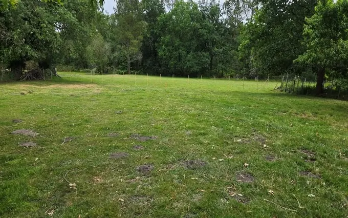 Programme immobilier neuf Terrain à partir de 770m² à Saint-Mariens