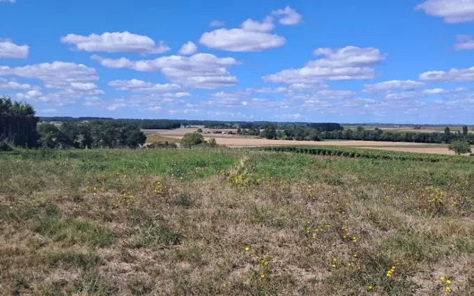 Programme immobilier neuf Terrain à partir de 2580m² à Saint-Maigrin à Saint-Maigrin (17520)