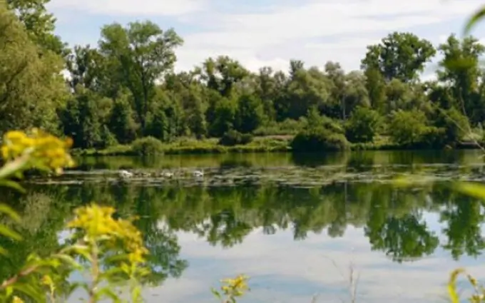 Programme immobilier neuf Urbanéo - Strasbourg à Strasbourg