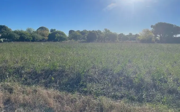Programme immobilier neuf Terrain à partir de 312m² à Saint-Hippolyte à Saint-Hippolyte (17430)