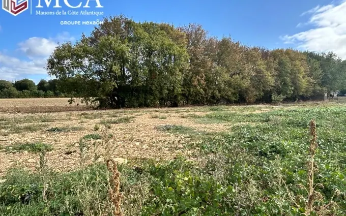 Programme immobilier neuf Terrain à partir de 411m² à Le Thou à Le Thou (17290)