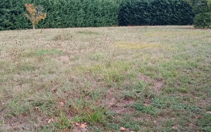 Programme immobilier neuf Terrain à partir de 2450m² à Lisle