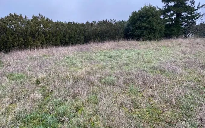 Programme immobilier neuf Terrain à partir de 404m² à Pont-l'Abbé-d'Arnoult à Pont-l'Abbé-d'Arnoult (17250)