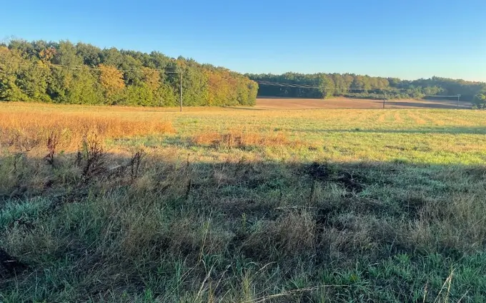 Programme immobilier neuf Terrain à partir de 738m² à Les Essards à Essards (17250)
