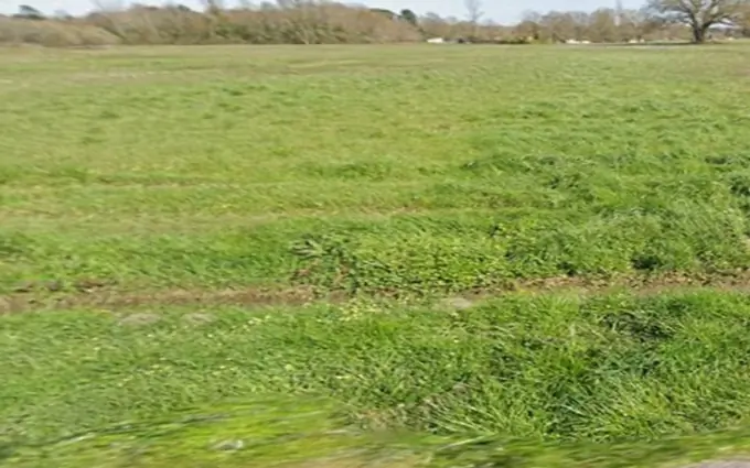 Programme immobilier neuf Terrain à partir de 750m² à Saint-Savin à Saint-Savin (33920)