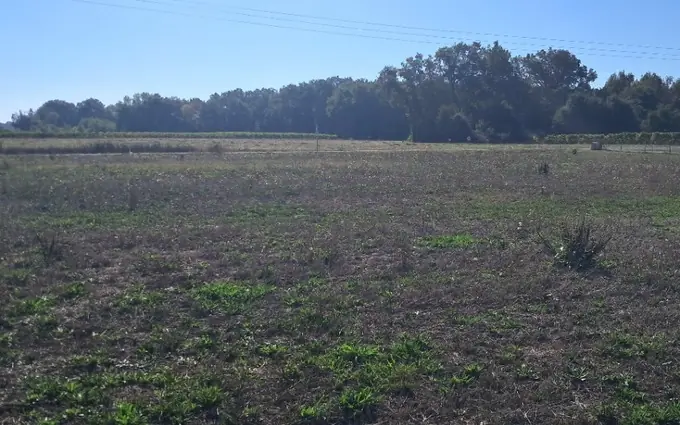 Programme immobilier neuf Terrain à partir de 1471m² à Mérignac à Mérignac (17210)