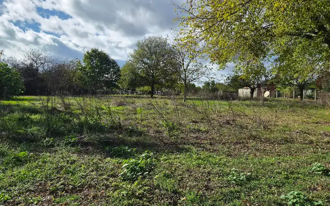 Programme immobilier neuf Terrain à partir de 3846m² à Porchères