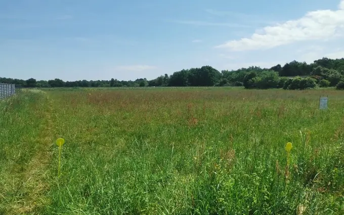 Programme immobilier neuf Terrain à partir de 1000m² à Mazères à Mazères (33210)