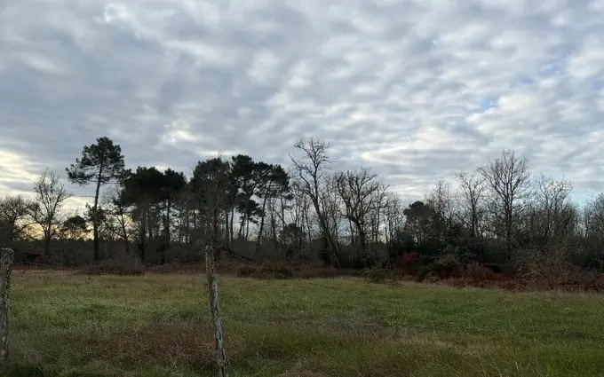 Programme immobilier neuf Terrain à partir de 540m² à Toulenne à Toulenne (33210)