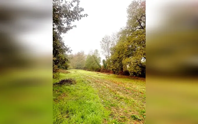Programme immobilier neuf Terrain à partir de 900m² à Sablons à Sablons (33910)