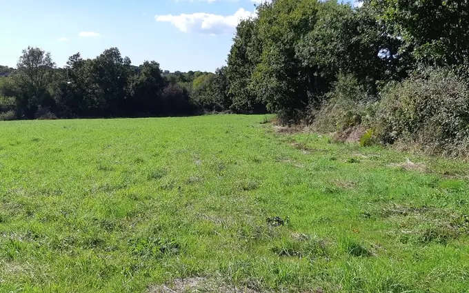 Programme immobilier neuf Streat zoun à Coat-Méal