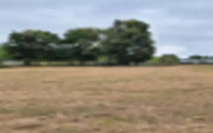 Programme immobilier neuf Terrain à partir de 720m² à Cézac à Cézac (33620)